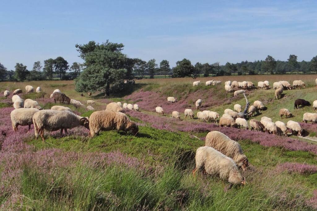 Vila 4-6 Persoons Vakantiewoning Met Eigen Tuin Bakkeveen Exteriér fotografie